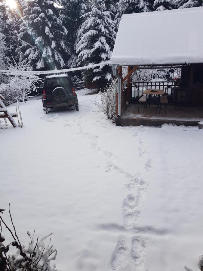 Casa Ria-Ria Pihenohaz Villa Miercurea Ciuc Exteriör bild
